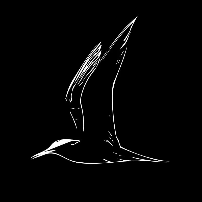 gull