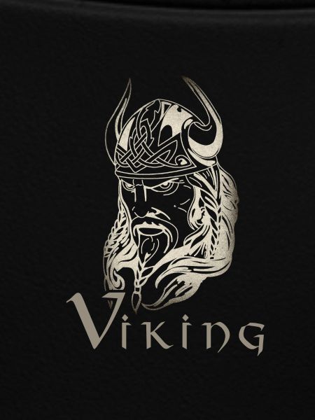 Wikinger, Viking, Krieger
