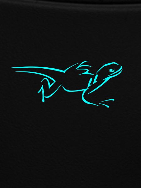 lizard