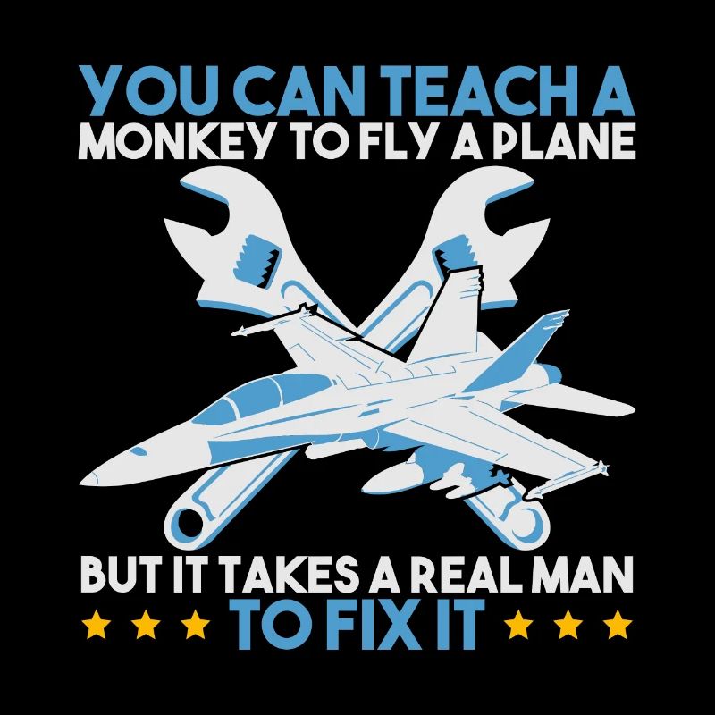 You Can Teach A Monkey To Fly A Plane But It Takes