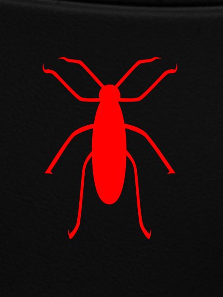 insect