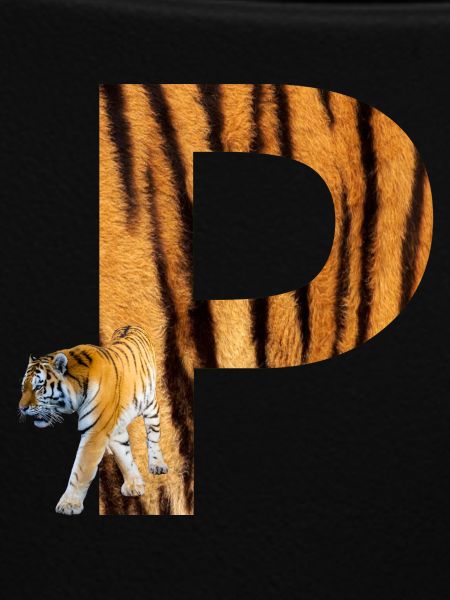 tiger p