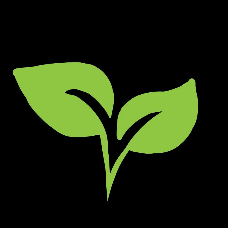 Plant nature leaf plant leaf gift