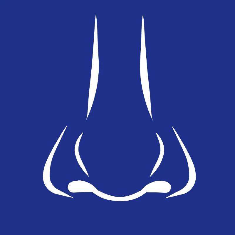 Odeur de nez Cadeau d'odeur de nez