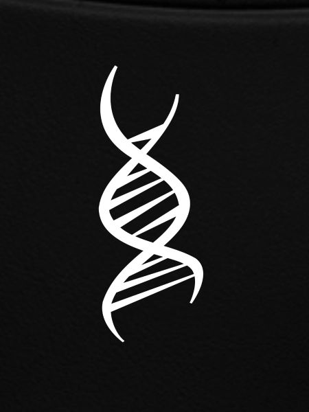 DNA