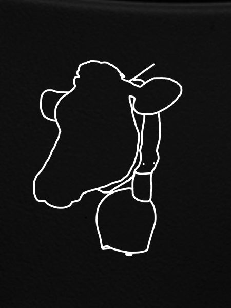 White cow head
