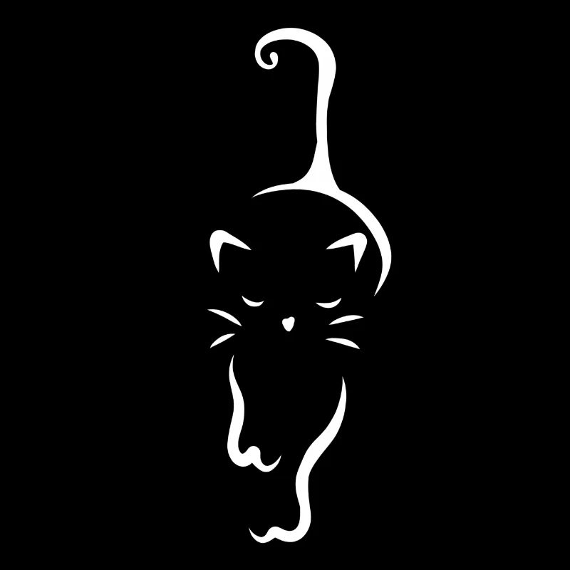 Chat animaux de compagnie chats tomcat animal chatons