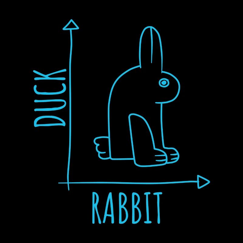 Mystification canard lapin effet optique Wittgenstein