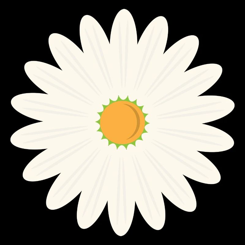 Margerite blossom