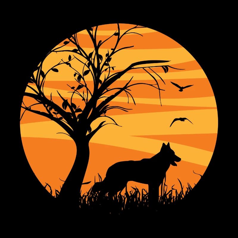Swiss White Shepherd Sunrise