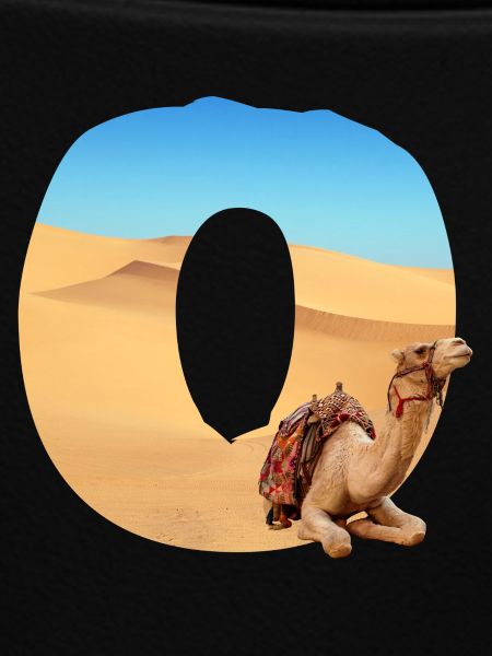 wüste mit kamel o