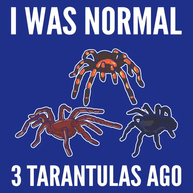 J’étais normal devant 3 amateurs d’araignées