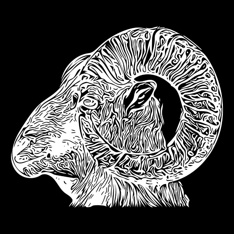Bélier tête avec des cornes