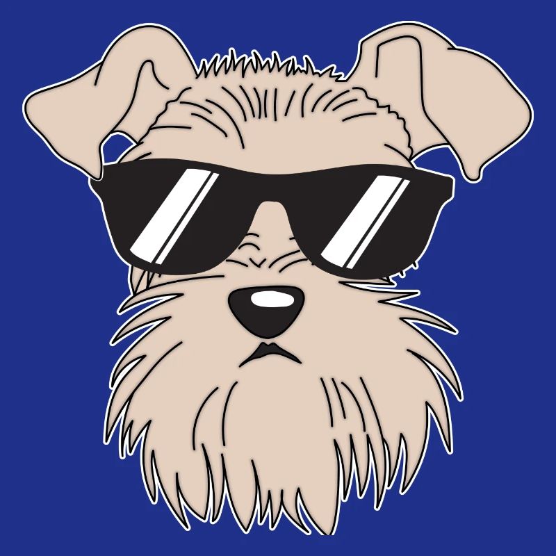Schnauzer cool avec lunettes de soleil