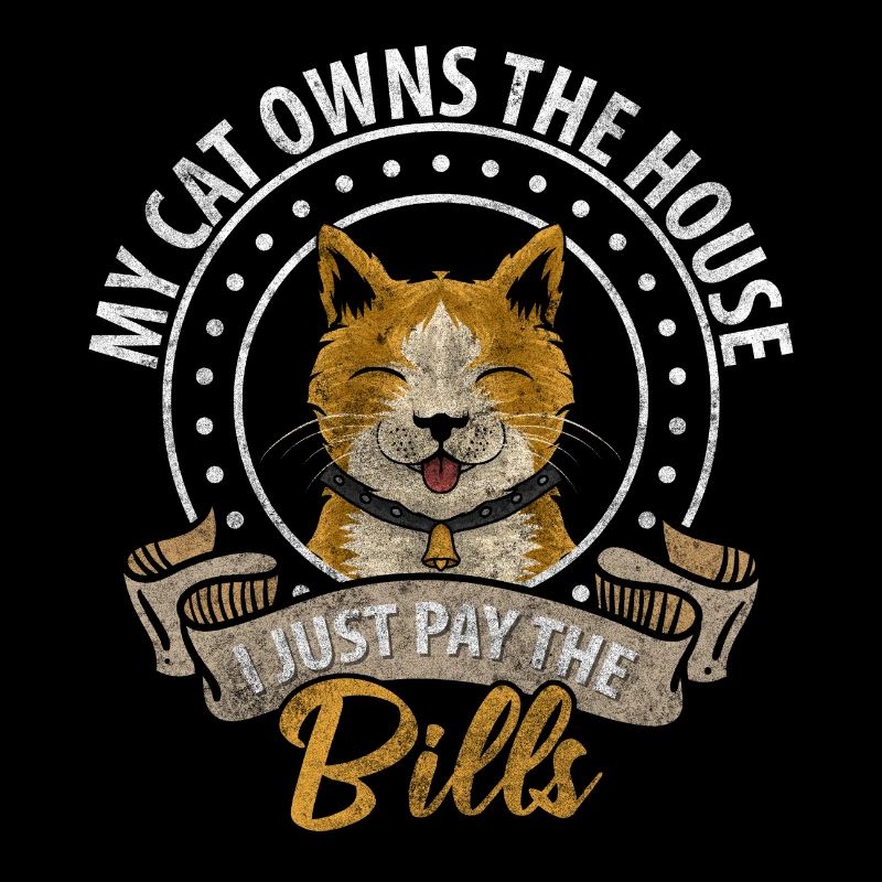 Kater Katzen