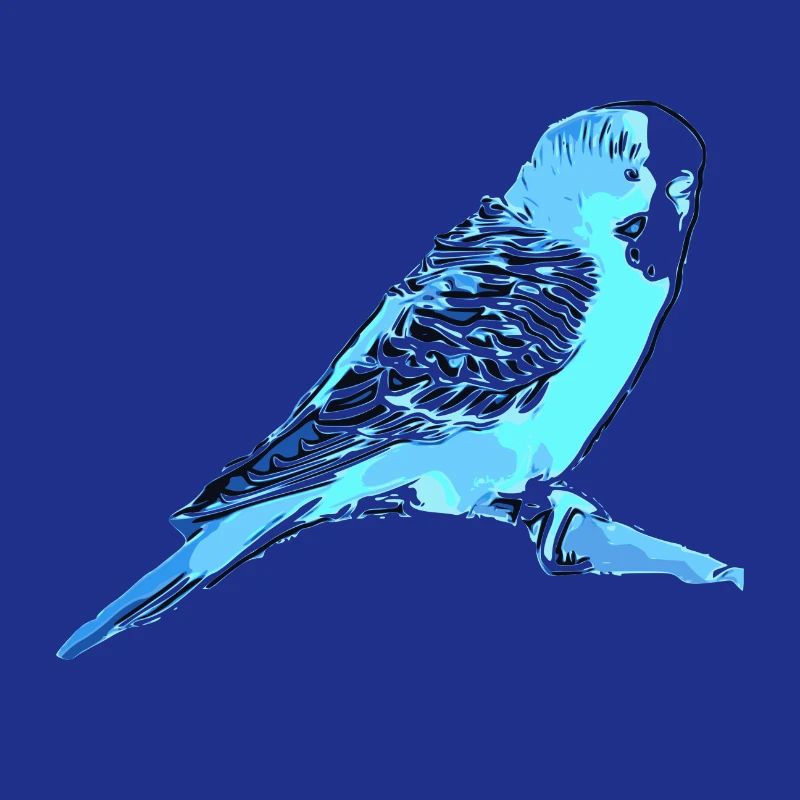 Budgerigar