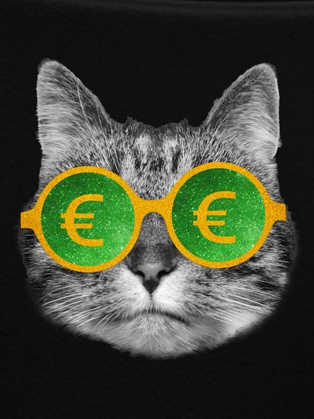Katzengeldbrille