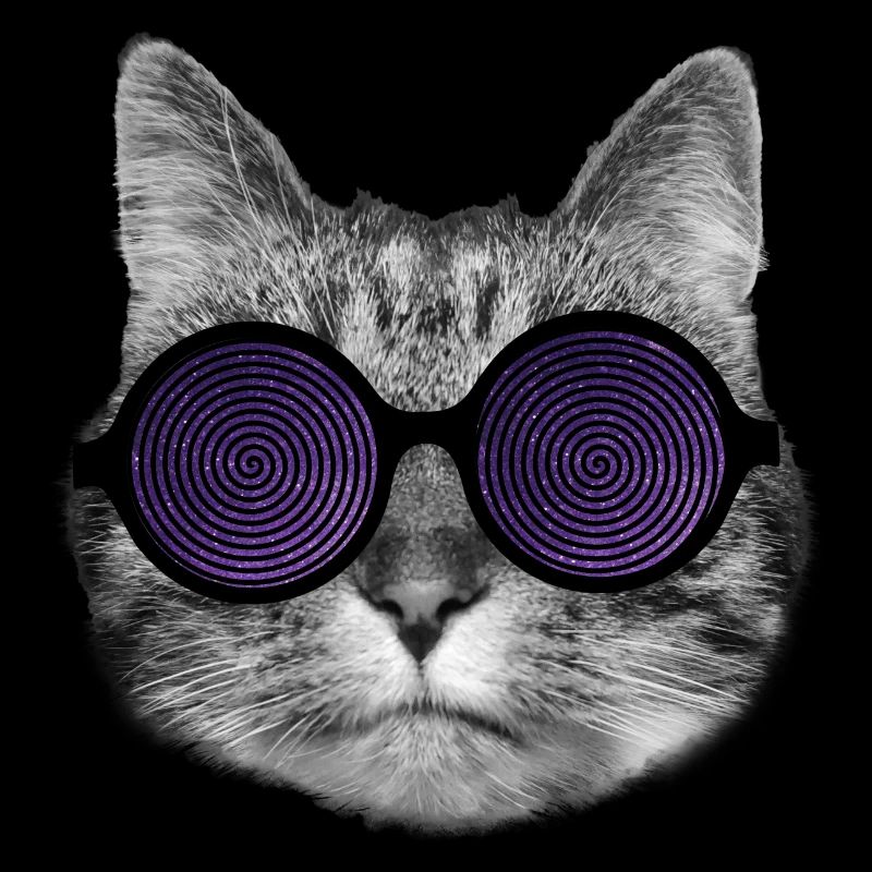 Cat and hypnotic glasses