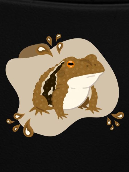Toad