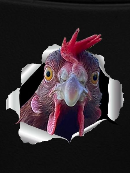 Huhn - zerissenes Papier