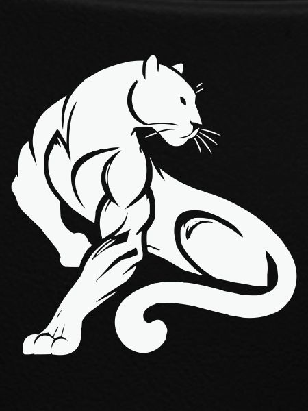 Panther Leopard