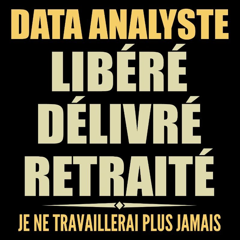 Data Analyste célèbre sa retraite avec humour