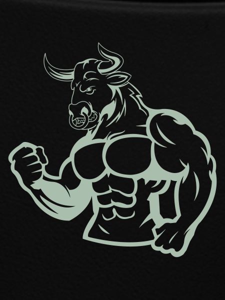 Taurus Fitness