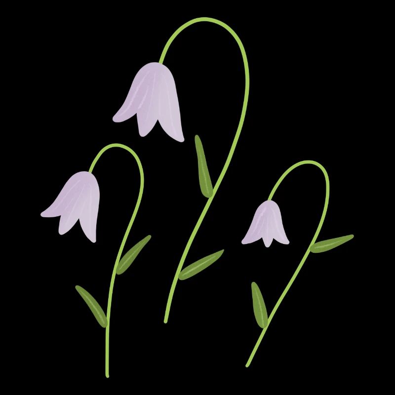 bellflowers