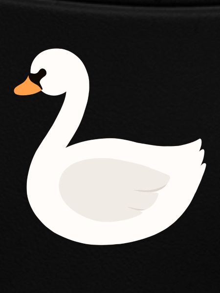 swan
