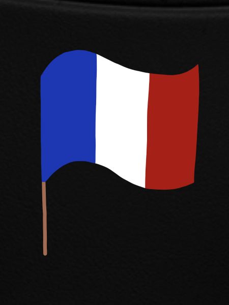 french flag