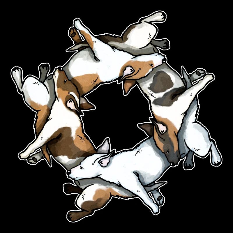 Jack Russell Kreis