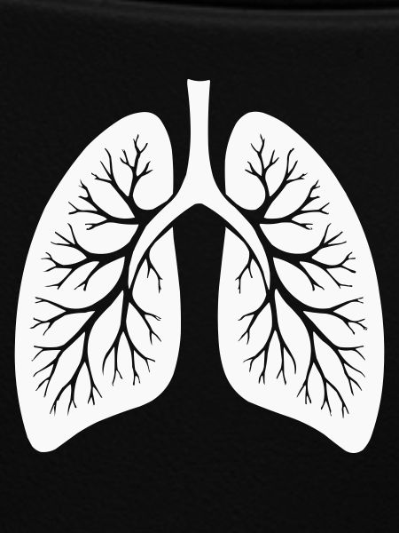 lung