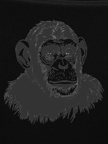 Chimpanzee - Monkey