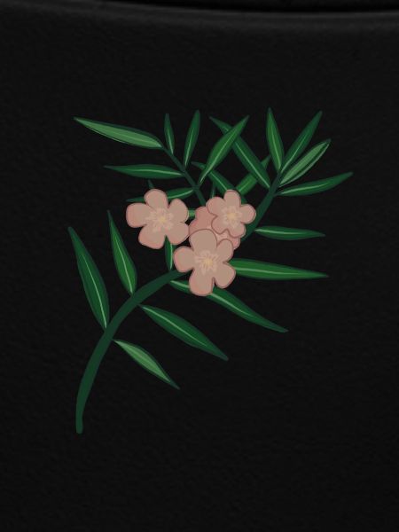 Oleander Flower Branch