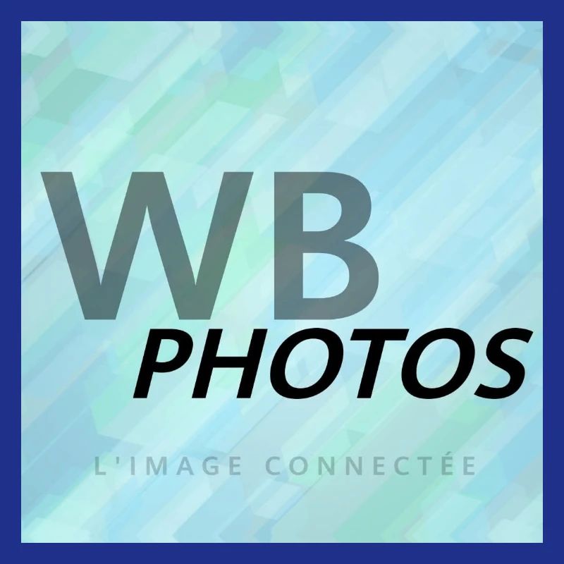 HELLBLAUES WBP-LOGO
