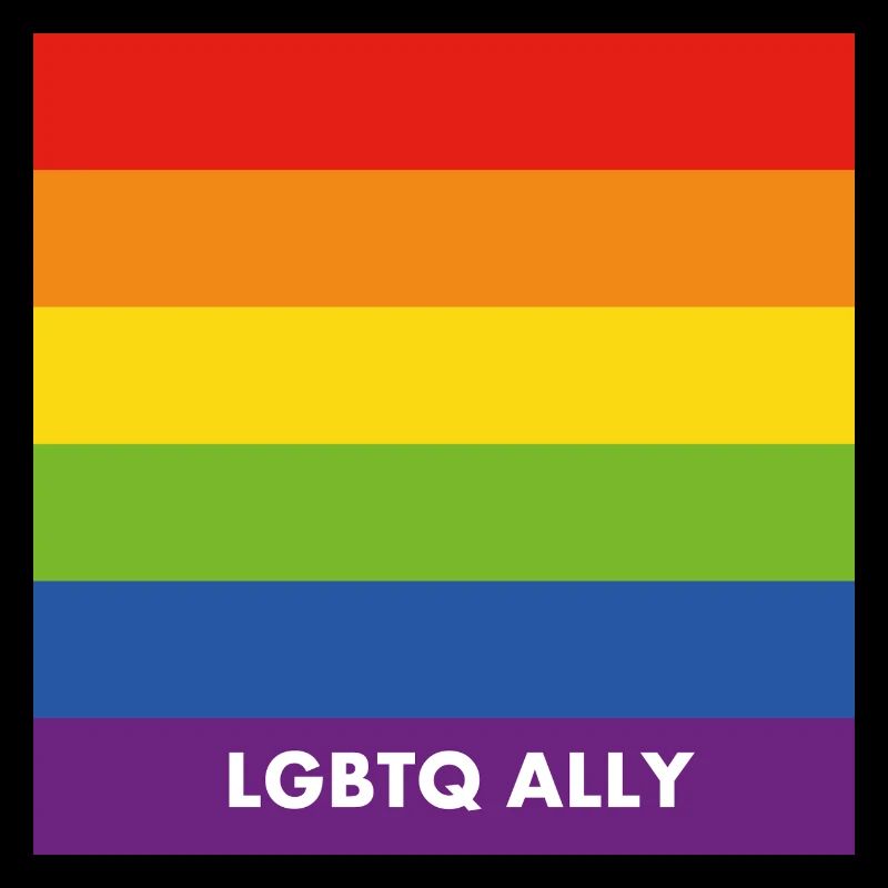 Pride Allyship LGBTQ Ally Rainbow Flag