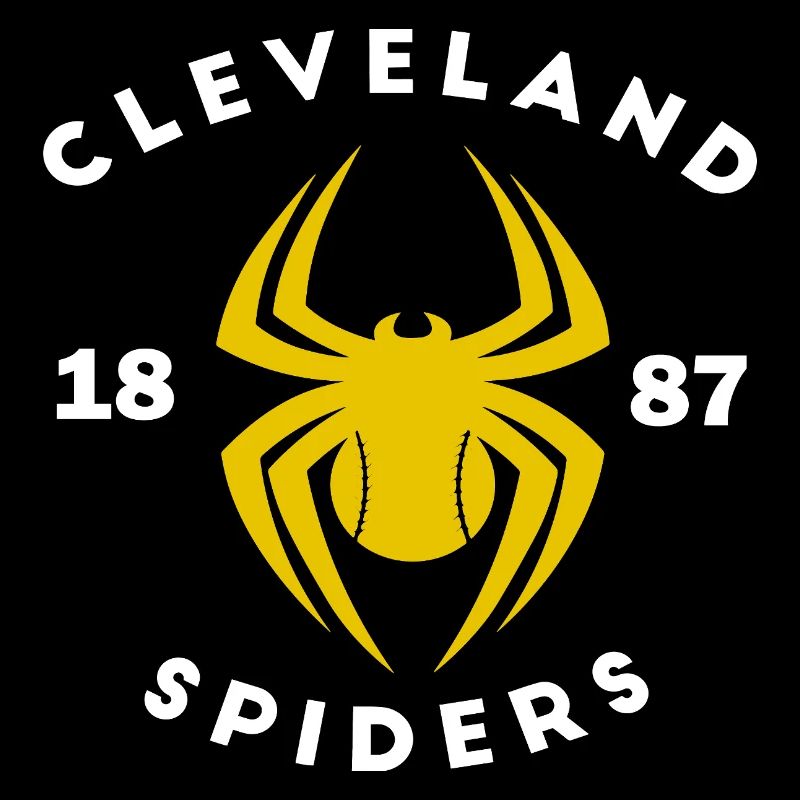 Vintage Cleveland Spiders Baseball