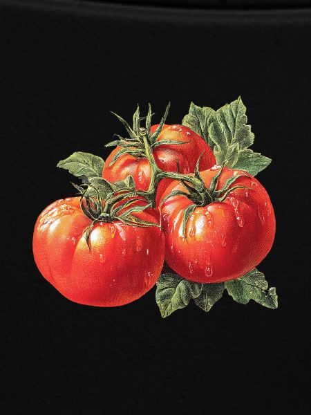 Tomate