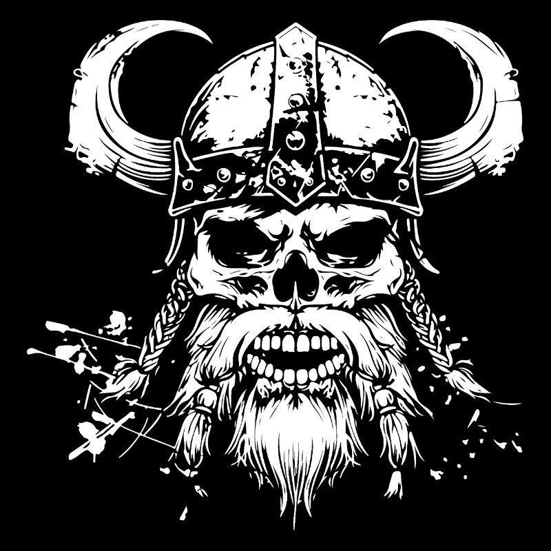 Crâne viking 1