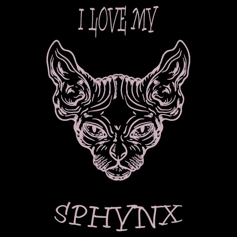 Chat nu Sphynx chat