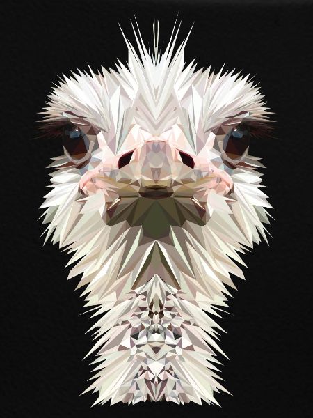 Vogelstrauß