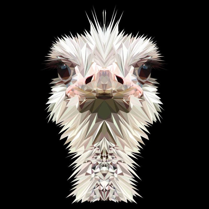 Ostrich