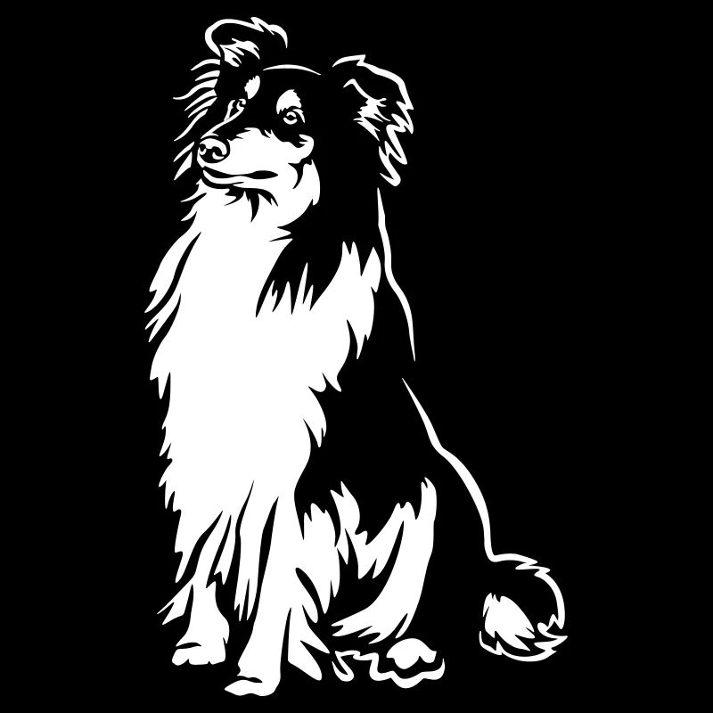 Collie « Black Edition »