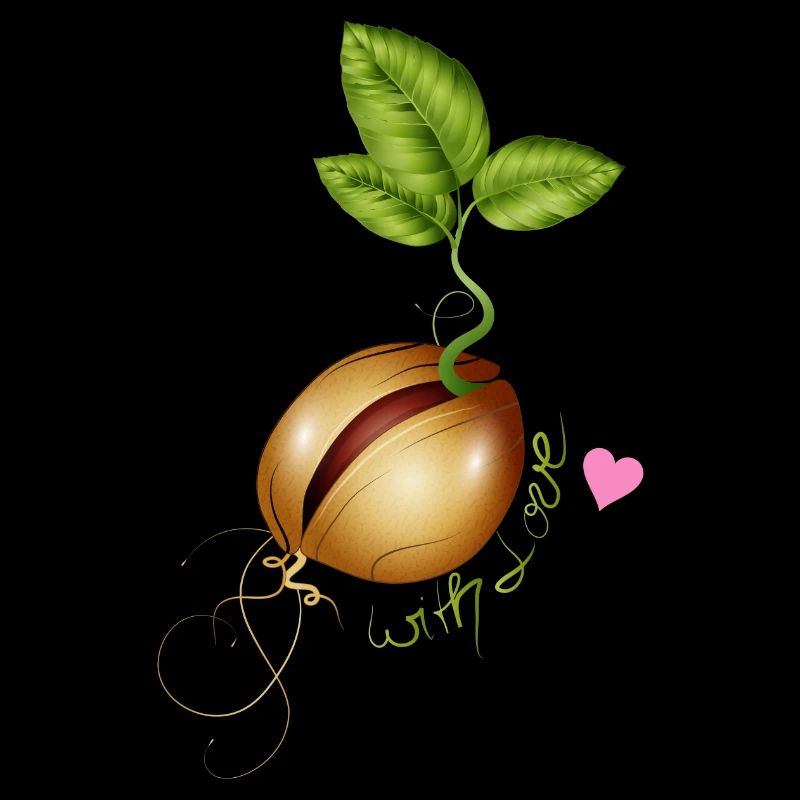 germination de graines - jardinage avec amour