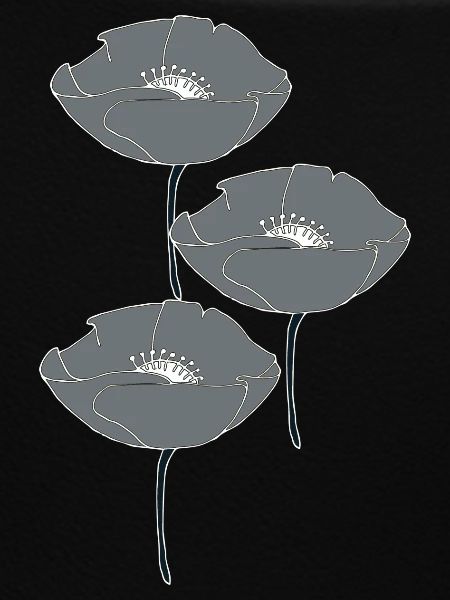 mohnblumen grau