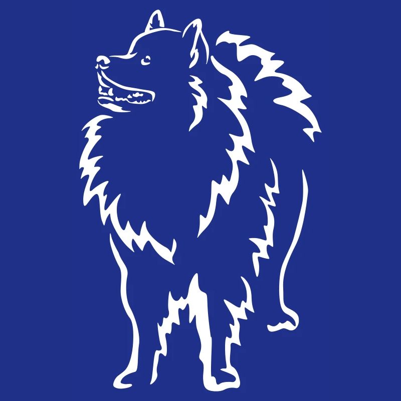 Wolfsspitz « Édition Noire »