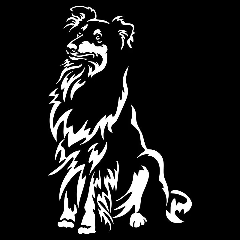 Collie « Édition Noire »