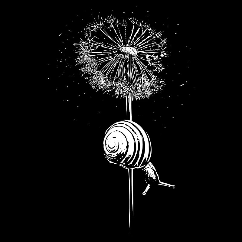 Pusteblume Löwenzahn Schnecke