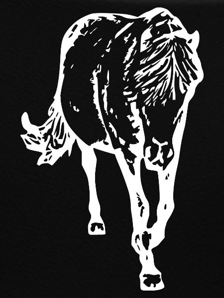horse