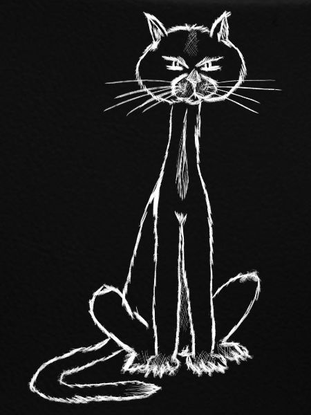 I'm the cat....